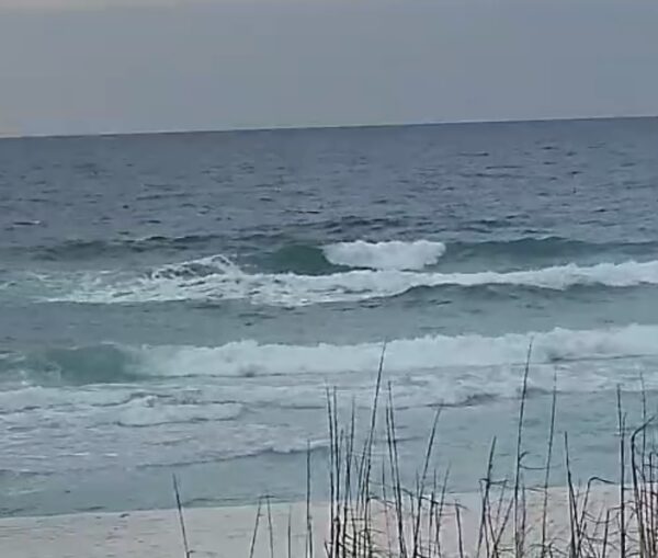 Thursday Morning 1/22/26