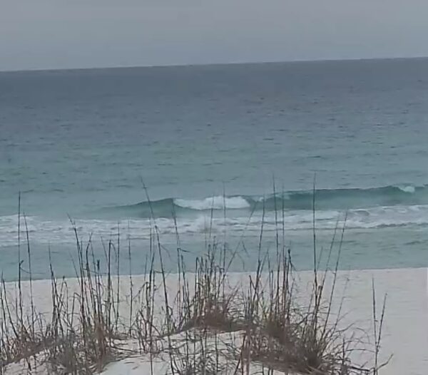 Saturday Morning 1/24/26