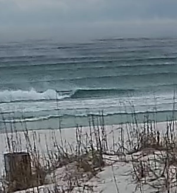 Monday Morning 1/26/26