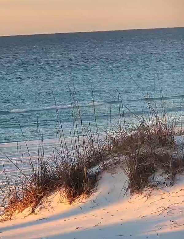 Wednesday Morning 1/28/26