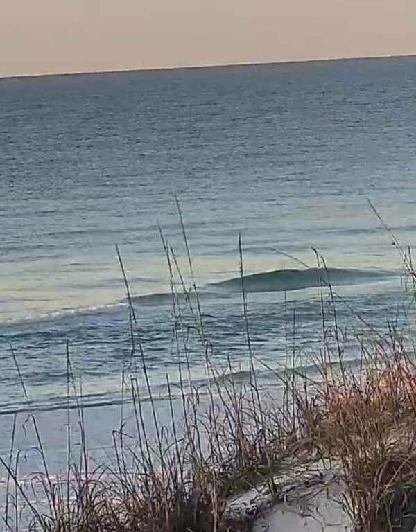 Friday Morning 1/30/26