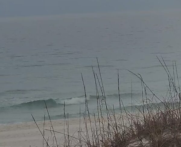 Wednesday Morning 2/11/26