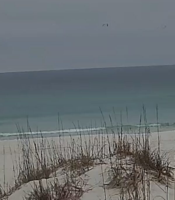 Thursday Morning 2/12/26