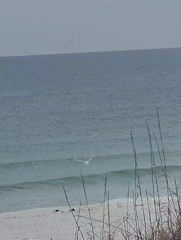 Tuesday Morning 2/17/26