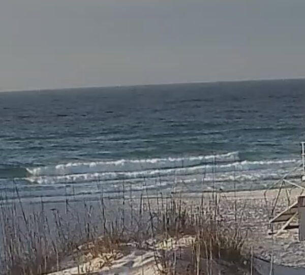 Wednesday Morning 2/18/26