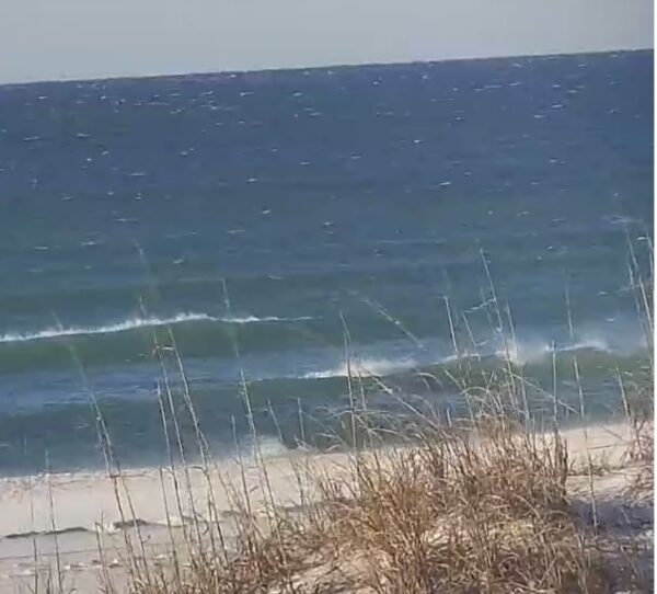 Sunday Morning 2/22/26