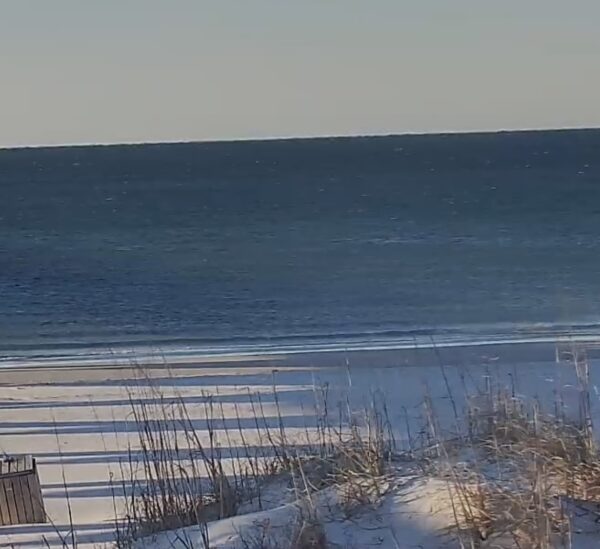 Monday Morning 2/23/26