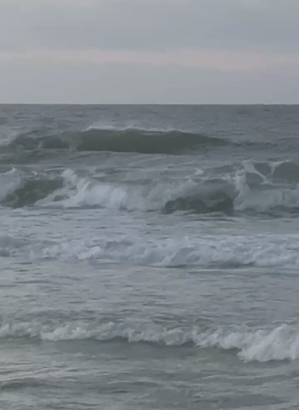 Wednesday Morning 2/25/26