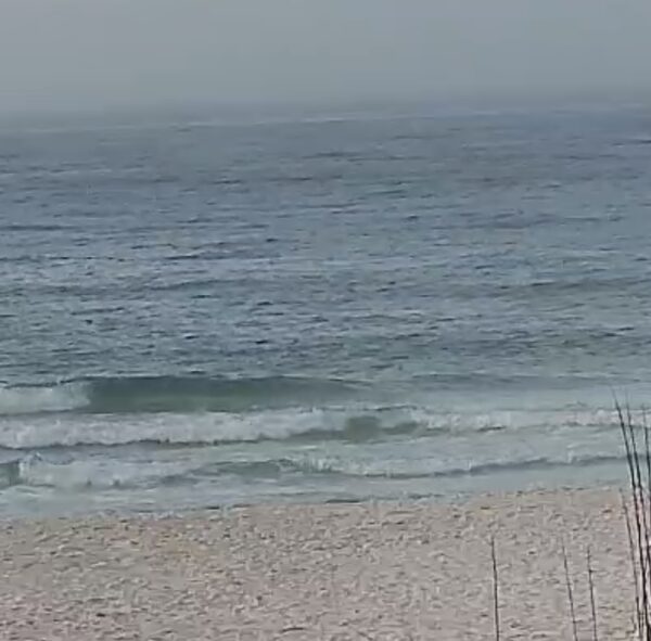 Wednesday Morning 3/11/26