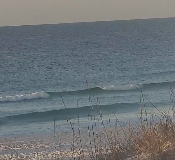 Saturday Morning 3/14/26
