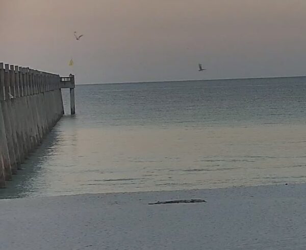 Friday Morning 3/20/26