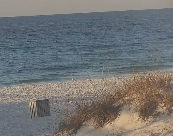 Saturday Morning 3/21/26