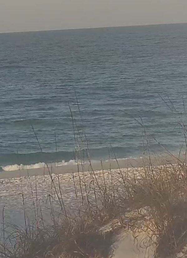 Sunday Morning 3/22/26