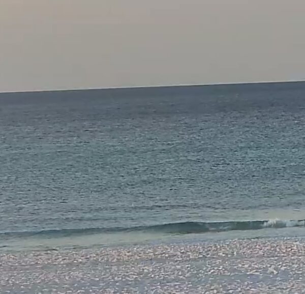 Tuesday Morning 3/24/26