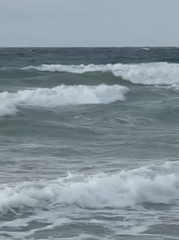 Wednesday Morning 3/25/26