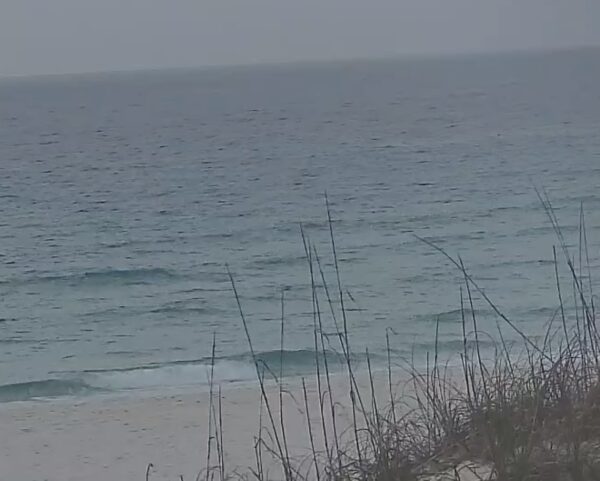 Thursday Morning 3/26/26