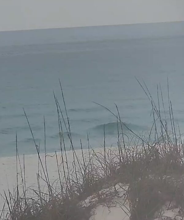 Friday Morning 3/27/26