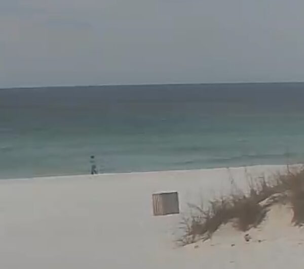 Saturday Morning 3/28/26