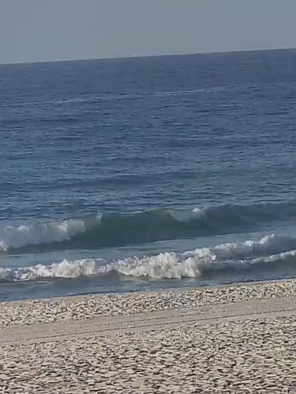 Wednesday Morning 4/15/26