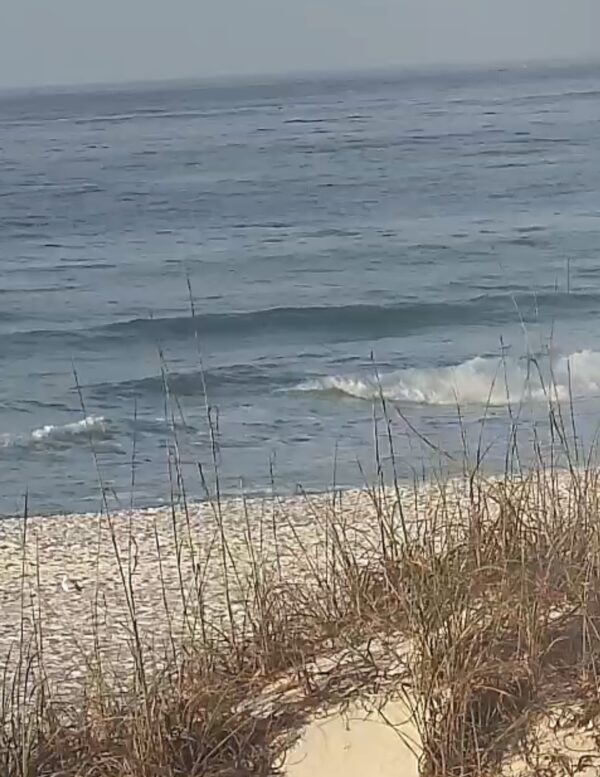 Thursday Morning 4/16/26