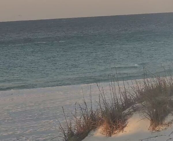 Monday Morning 4/20/26