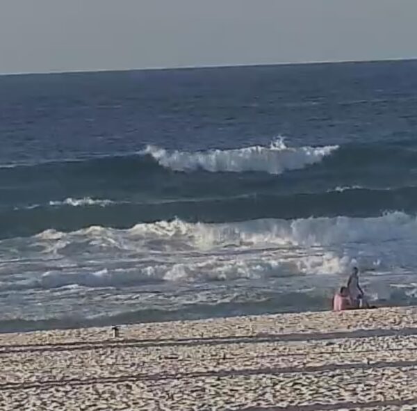 Friday Morning 4/24/26