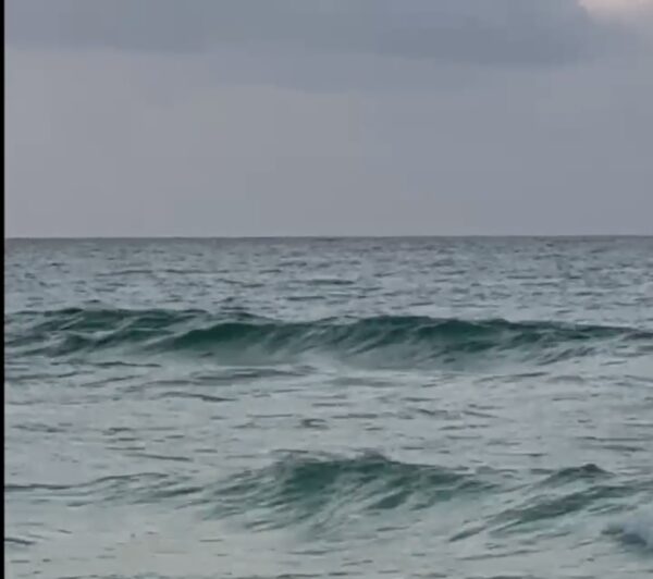 Tuesday Morning 4/28/26