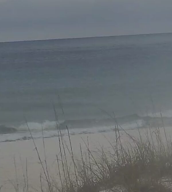Thursday Morning 4/30/26