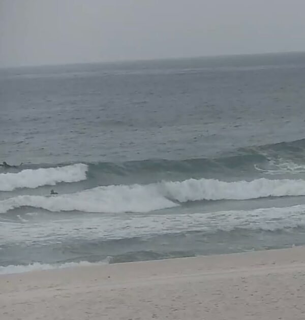 Wednesday Morning 4/1/26