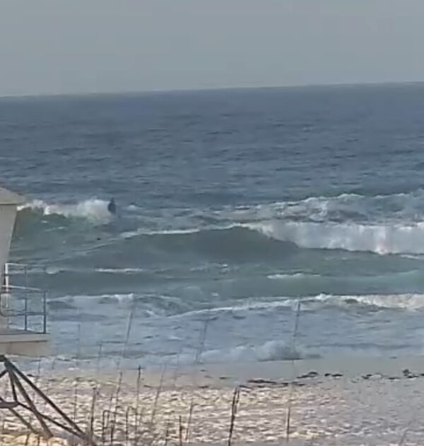 Saturday Morning 4/4/26