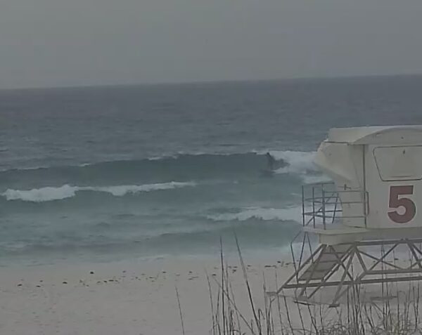 Easter Sunday Morning 4/5/26