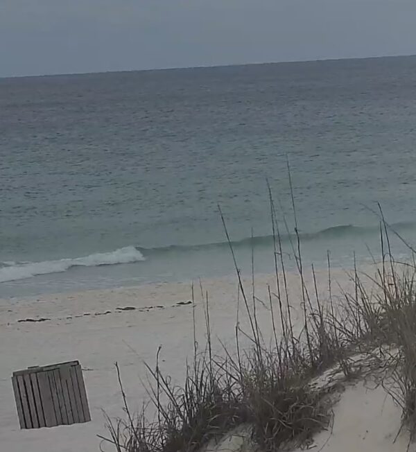 Monday Morning 4/6/26