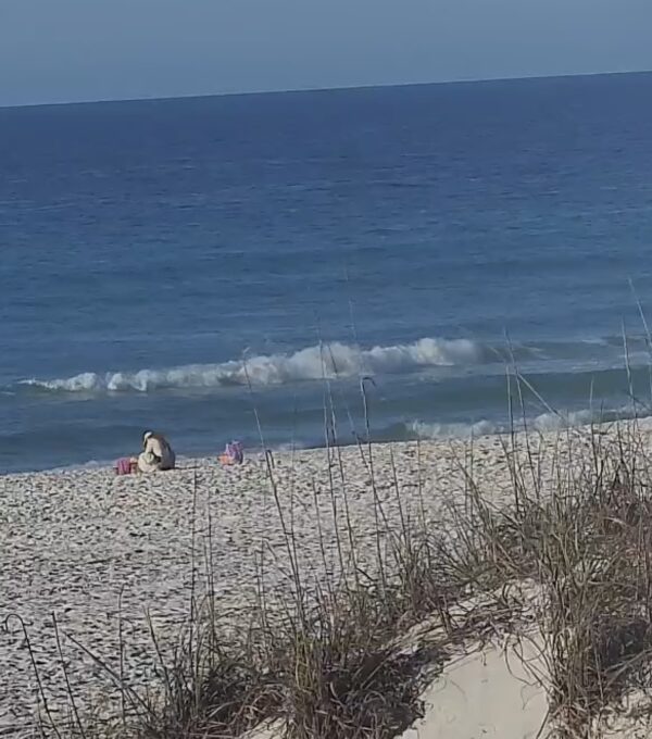 Sunday Morning 4/12/26