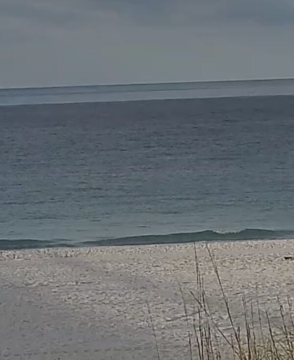 Tuesday Morning 5/5/26