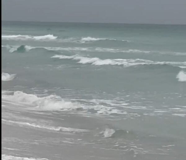 Tuesday Morning 5/12/26