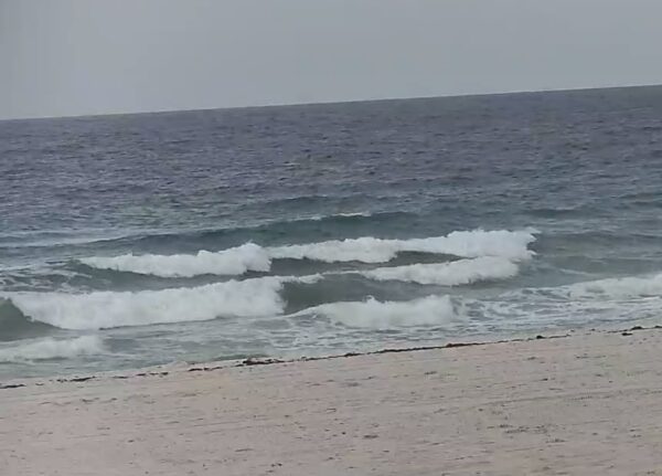 Tuesday Morning 5/26/26