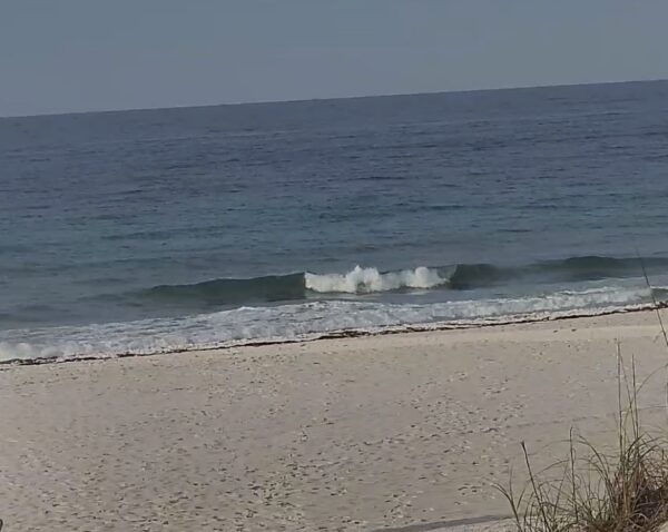 Tuesday Morning 6/2/26