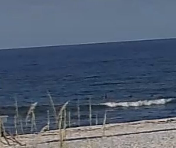 Sunday Morning 6/14/26