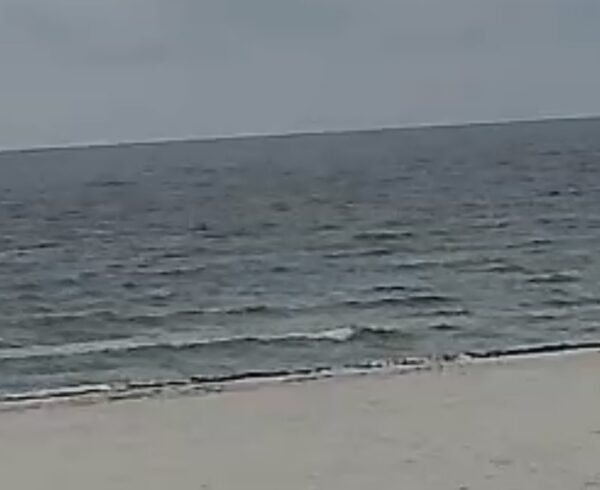 Tuesday Morning 6/16/26