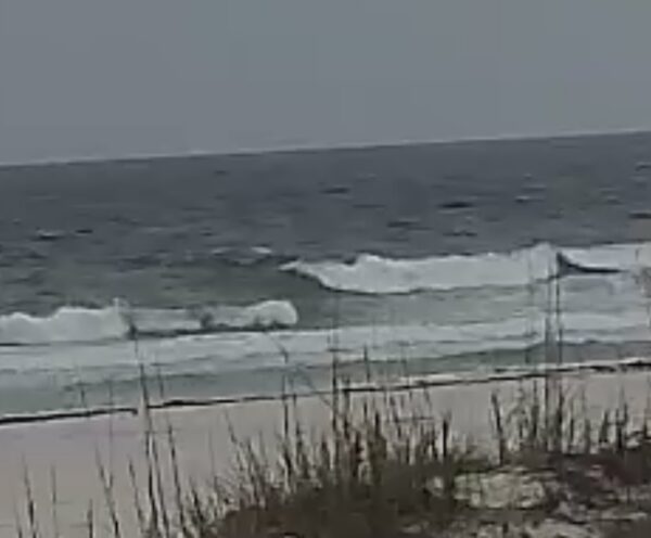 Wednesday Morning  6/17/26