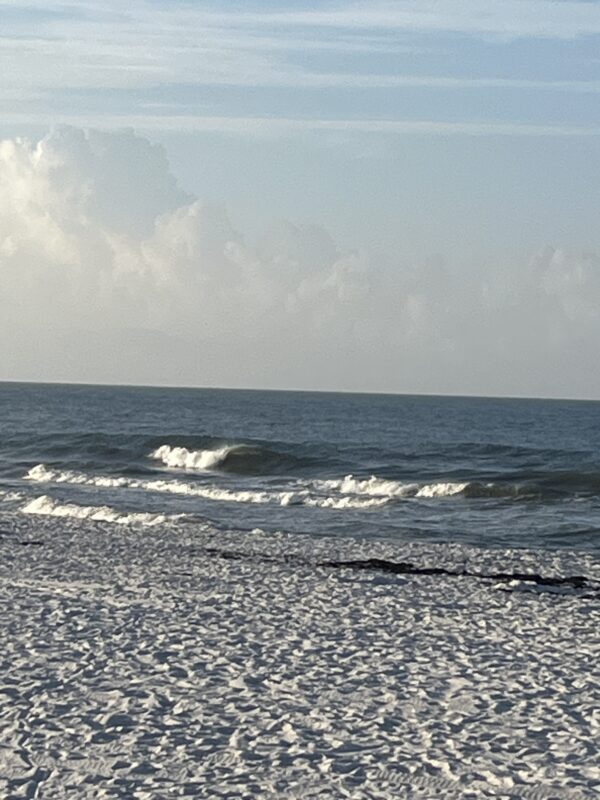 Tuesday Morning 6/23/26