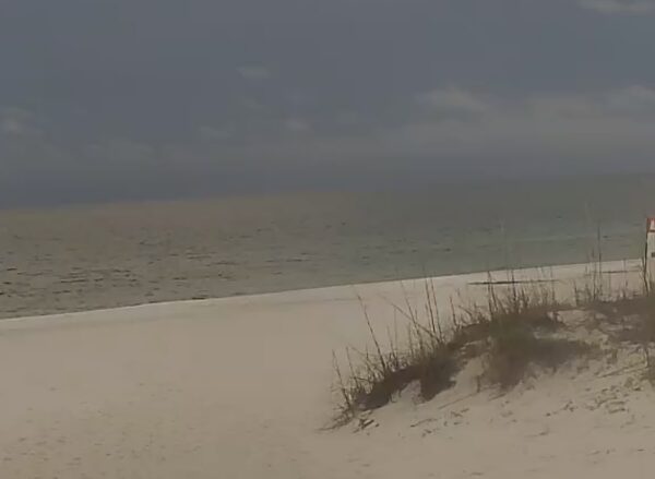 Thursday Morning 6/25/26