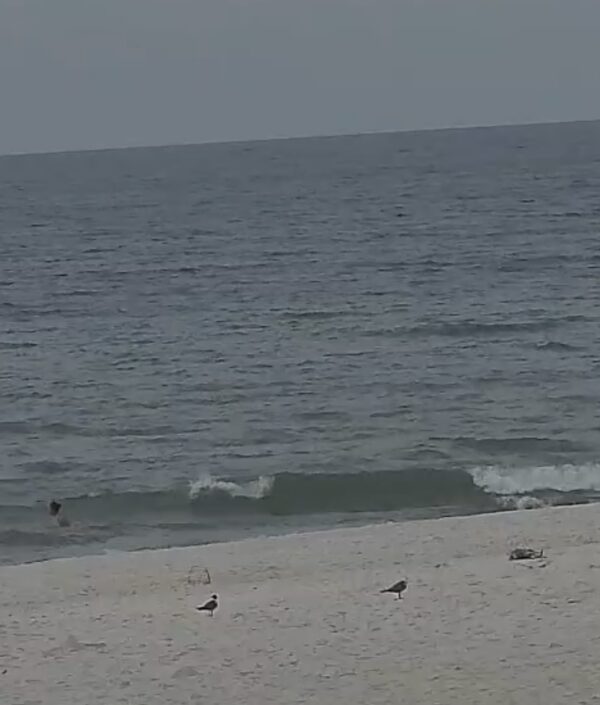 Sunday Morning 7/26/26