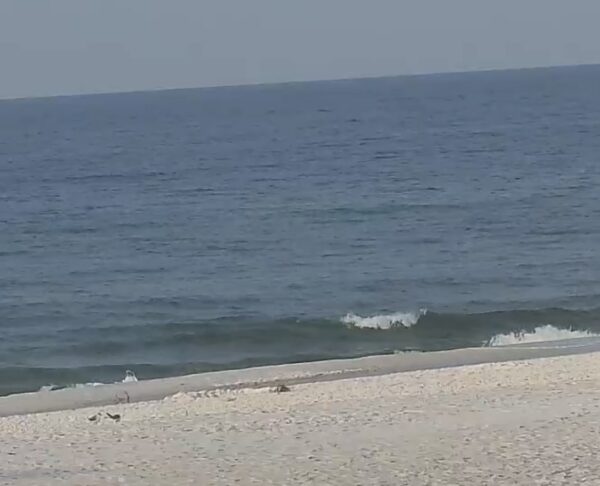 Tuesday Morning 7/28/26