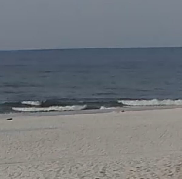 Wednesday Morning 7/29/26