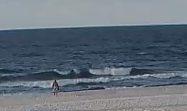 Wednesday Morning 8/12/26