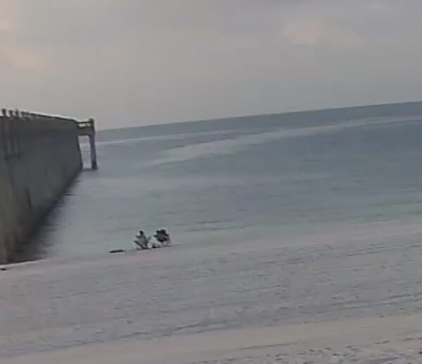 Tuesday Morning 8/25/26
