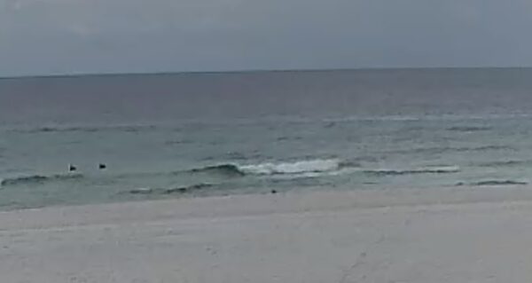 Saturday Morning 8/29/26
