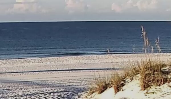 Wednesday Morning 9/2/26