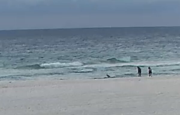 Friday Morning 9/25/26
